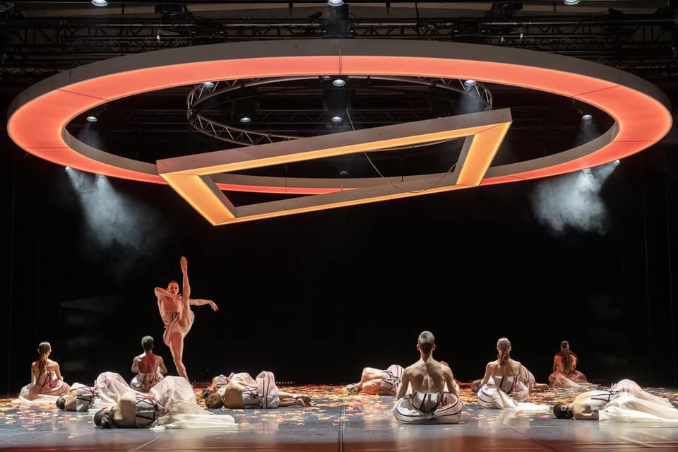 44881123_10214519366271961_4036548983634526208_n