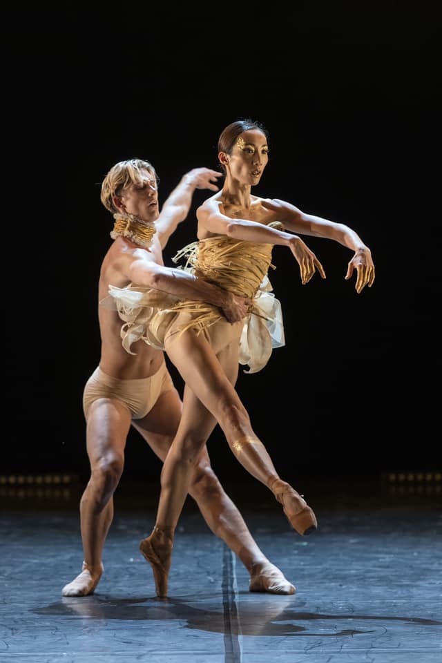 44953782_10214519364911927_5844600455698579456_n