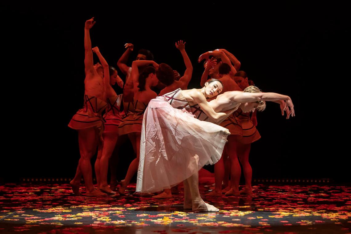 4jahresz_foto_jan-pieter_fuhr_2008