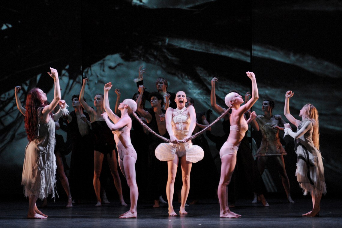 Alice_Harms_Bourdais_Dedroog_Gronwald_Perez_Oloriz