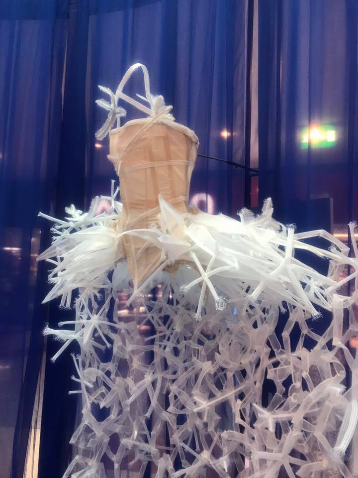 56487440_10219052665493660_3109623169174994944_n