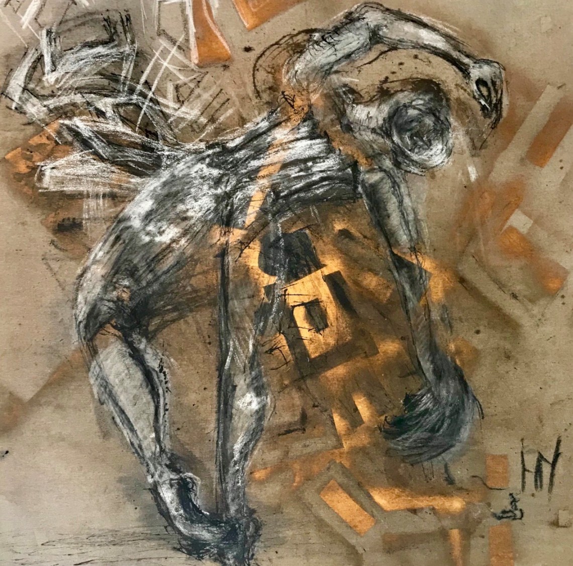 104432507_198924474684271_6845773879475894027_n